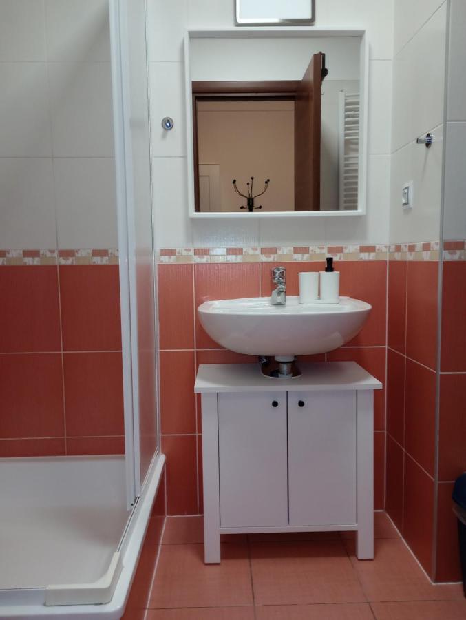 Apartman Rezidence Certovka 2121 Free Parking Garage Karlovy Vary Exterior foto